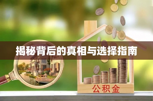 博望揭秘背后的真相与选择指南