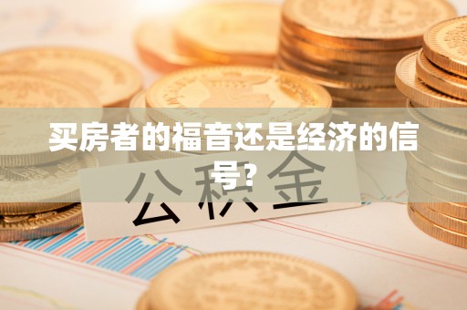 博望买房者的福音还是经济的信号？