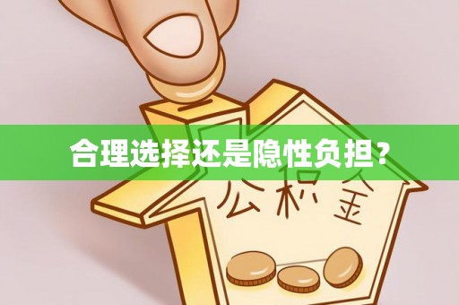 博望合理选择还是隐性负担？