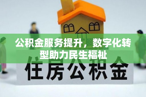 博望公积金服务提升，数字化转型助力民生福祉
