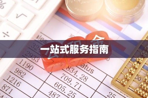 博望一站式服务指南
