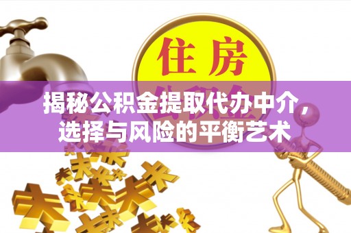 博望揭秘公积金提取代办中介，选择与风险的平衡艺术
