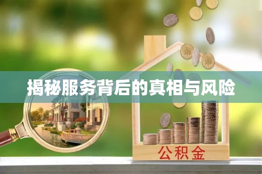 博望揭秘服务背后的真相与风险