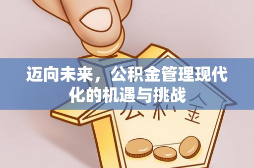 博望迈向未来，公积金管理现代化的机遇与挑战