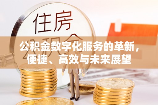 博望公积金数字化服务的革新，便捷、高效与未来展望