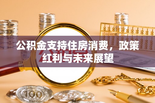 博望公积金支持住房消费，政策红利与未来展望