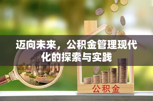 博望迈向未来，公积金管理现代化的探索与实践