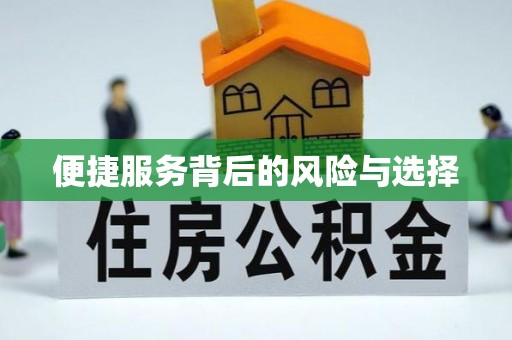 博望便捷服务背后的风险与选择