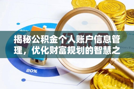 博望揭秘公积金个人账户信息管理，优化财富规划的智慧之选