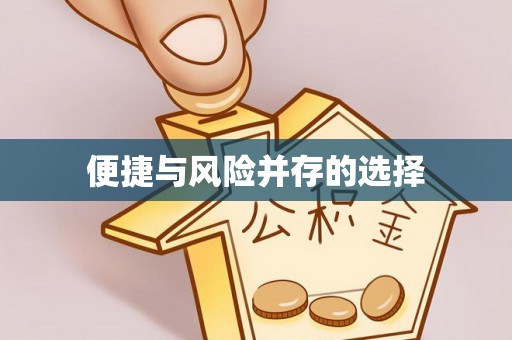 博望便捷与风险并存的选择