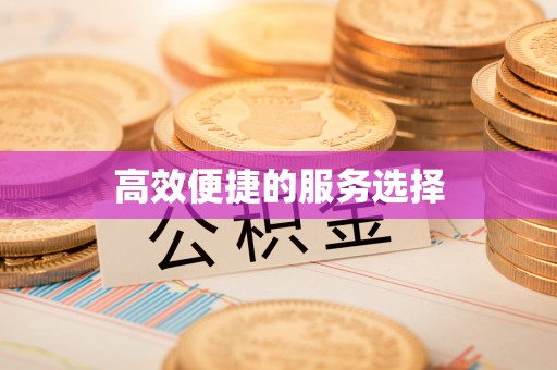 博望高效便捷的服务选择