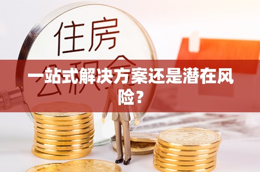 博望一站式解决方案还是潜在风险？