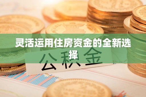 博望灵活运用住房资金的全新选择