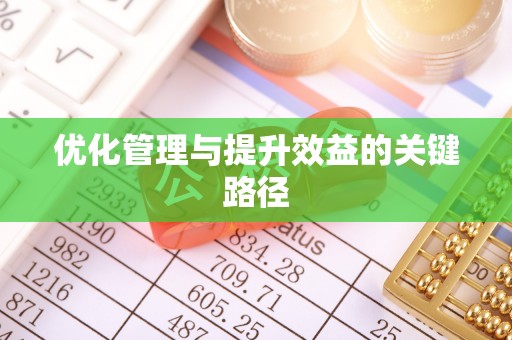 博望优化管理与提升效益的关键路径